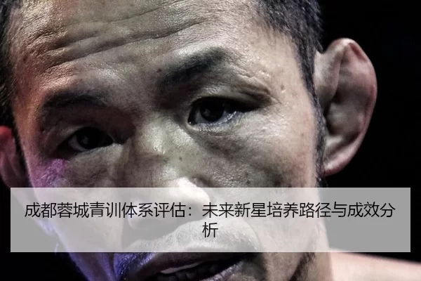 cheng-du-rong-cheng-qing-xun-ti-xi-ping-gu-wei-lai-xin-xing-pei-yang-lu-jing-yu-cheng-xiao-fen-xi-2-233.jpg