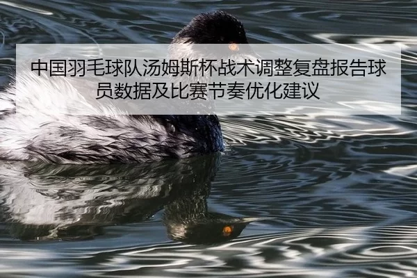 中国羽毛球队汤姆斯杯战术调整复盘报告球员数据及比赛节奏优化建议