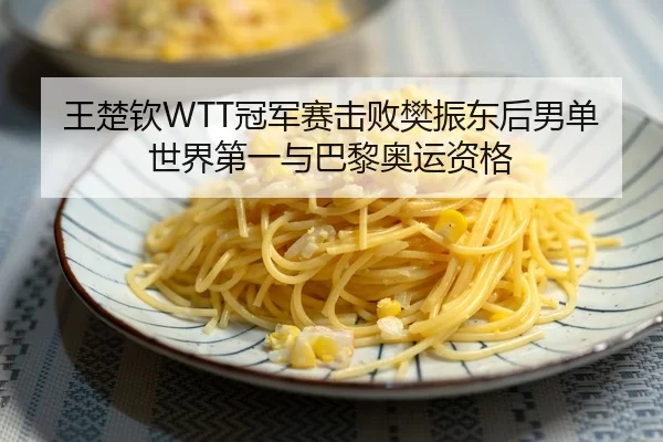 王楚钦WTT冠军赛击败樊振东后男单世界第一与巴黎奥运资格